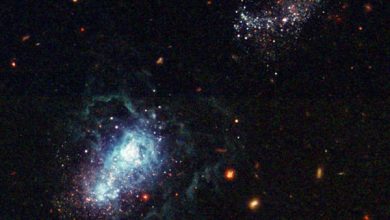 Galaxia