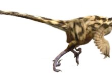Dinosaurios