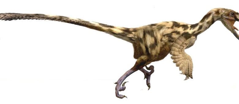 Dinosaurios