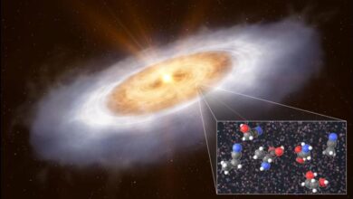 Galaxia