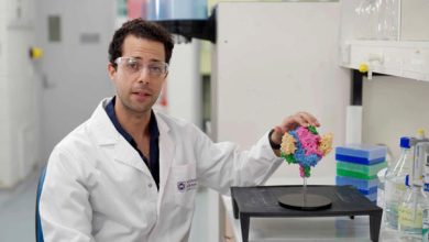 Nanocuerpo/descubrimiento
