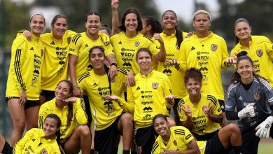 Vinotinto Femenina - FVF