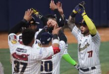 Leones del Caracas