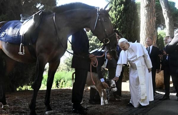 Papa León XIV