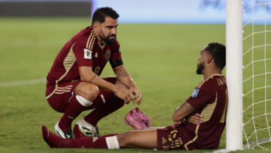 Vinotinto
