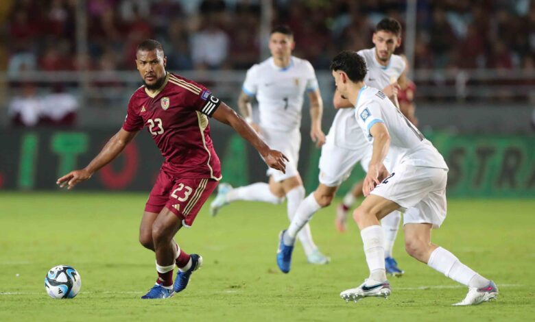 Vinotinto