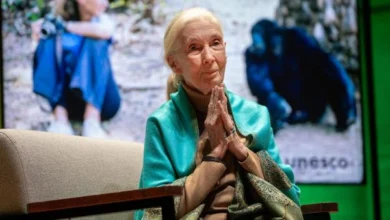 Jane Goodall