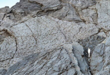 Valle de dinosaurios