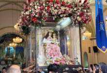 Divina Pastora - Bancamiga