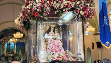 Divina Pastora - Bancamiga