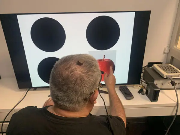 Estudio - recuperación de la vista