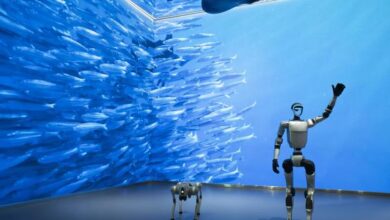 Robots humanoides