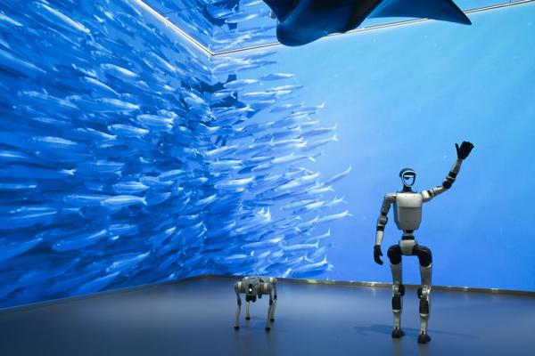 Robots humanoides
