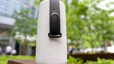 Fitbit - monitor - pantallas