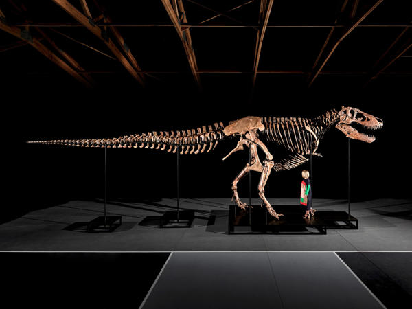 Gus - T.rex