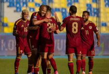 Vinotinto