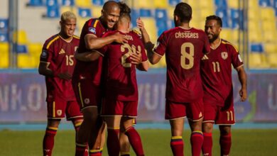 Vinotinto