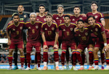 Vinotinto - FVF