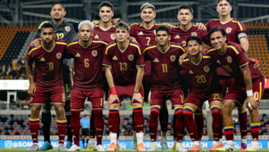 Vinotinto - FVF