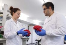 Descubren un 'interruptor' cerebral clave en el autismo y la esquizofrenia