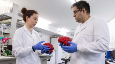 Descubren un 'interruptor' cerebral clave en el autismo y la esquizofrenia