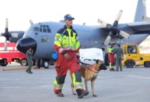 Bomberos, perros, drones, forenses: así ayuda la comunidad internacional a Venezuela