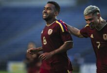 Vinotinto - FVF