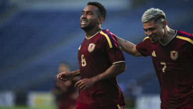 Vinotinto - FVF