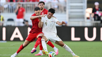 Vinotinto - Turquía