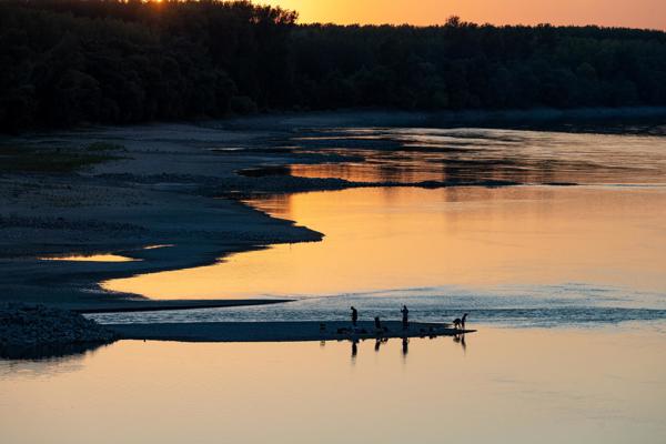 El bajo caudal del Danubio saca a la luz restos de un mamut en el norte de Bulgaria