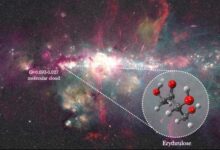 Dos radiotelescopios españoles detectan por primera vez azúcar en el espacio interestelar