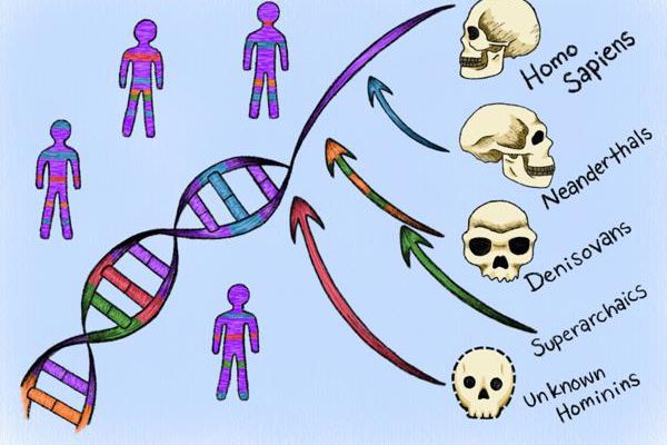 Un nuevo enfoque computacional identifica ADN humano heredado de ancestros "fantasma"