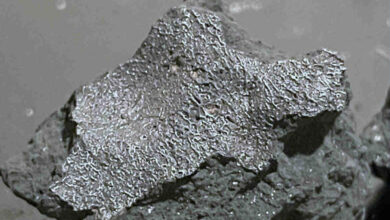Meteorito que cayó en EEUU revela datos sobre componentes fuera de la Tierra para la vida