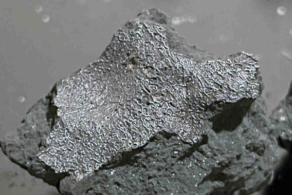Meteorito que cayó en EEUU revela datos sobre componentes fuera de la Tierra para la vida