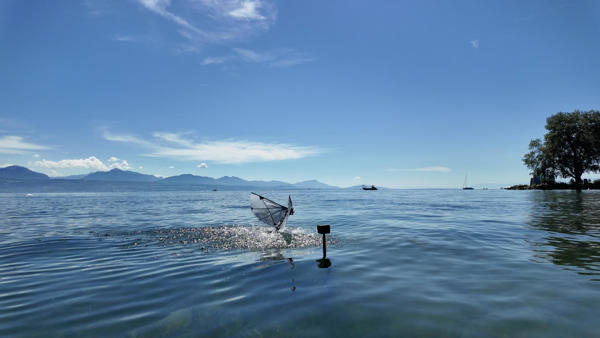 Un robot que nada y vuela como un ave buceadora, ¿una ayuda para la exploración oceánica?