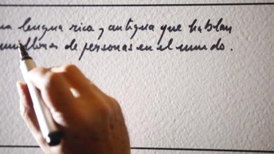 El uso de la IA como asistente de redacción tiende a reducir la singularidad lingüística