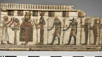 Un estudio revela qué animales y plantas se usaban para pintar en el antiguo Egipto