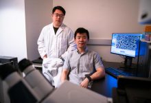 Una nueva terapia de ARN podría ser clave para tratar numerosas enfermedades genéticas