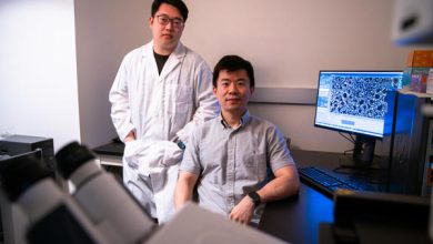 Una nueva terapia de ARN podría ser clave para tratar numerosas enfermedades genéticas