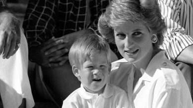 Lady Di - Diana de Gales