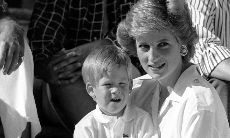 Lady Di - Diana de Gales