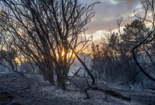 La ESA quiere utilizar IA y satélites para detectar incendios en tiempo casi real