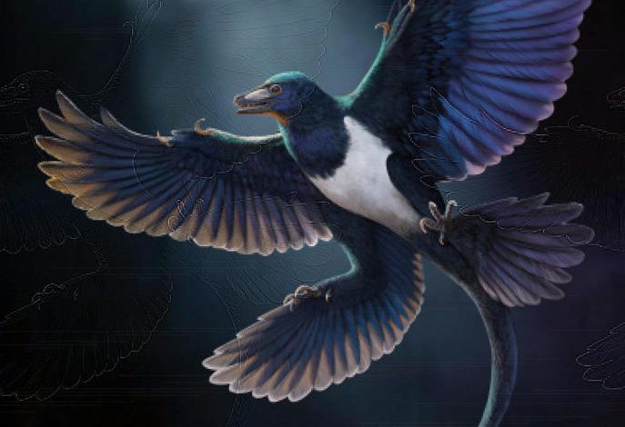 Los dinosaurios y las aves desarrollaron la capacidad de vuelo de manera independiente