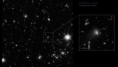 El telescopio de la Agencia Espacial Europa, Euclid, descubre su primer cometa