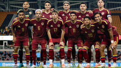 Vinotinto - FVF - Archivo