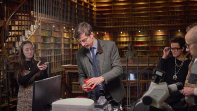 El Palacio de Chantilly expone su diamante rosa un siglo más tarde de su mediático robo