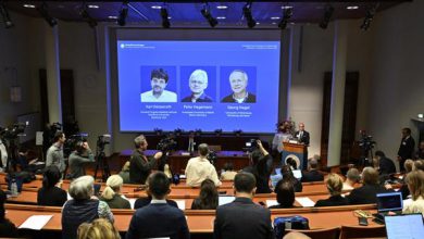 El Premio Nobel de Medicina premia a los fundadores de una nueva era en la neurociencia
